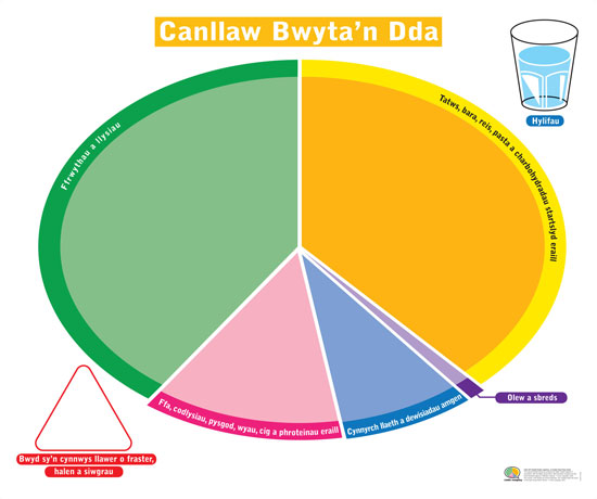 Eatwell guide store plate